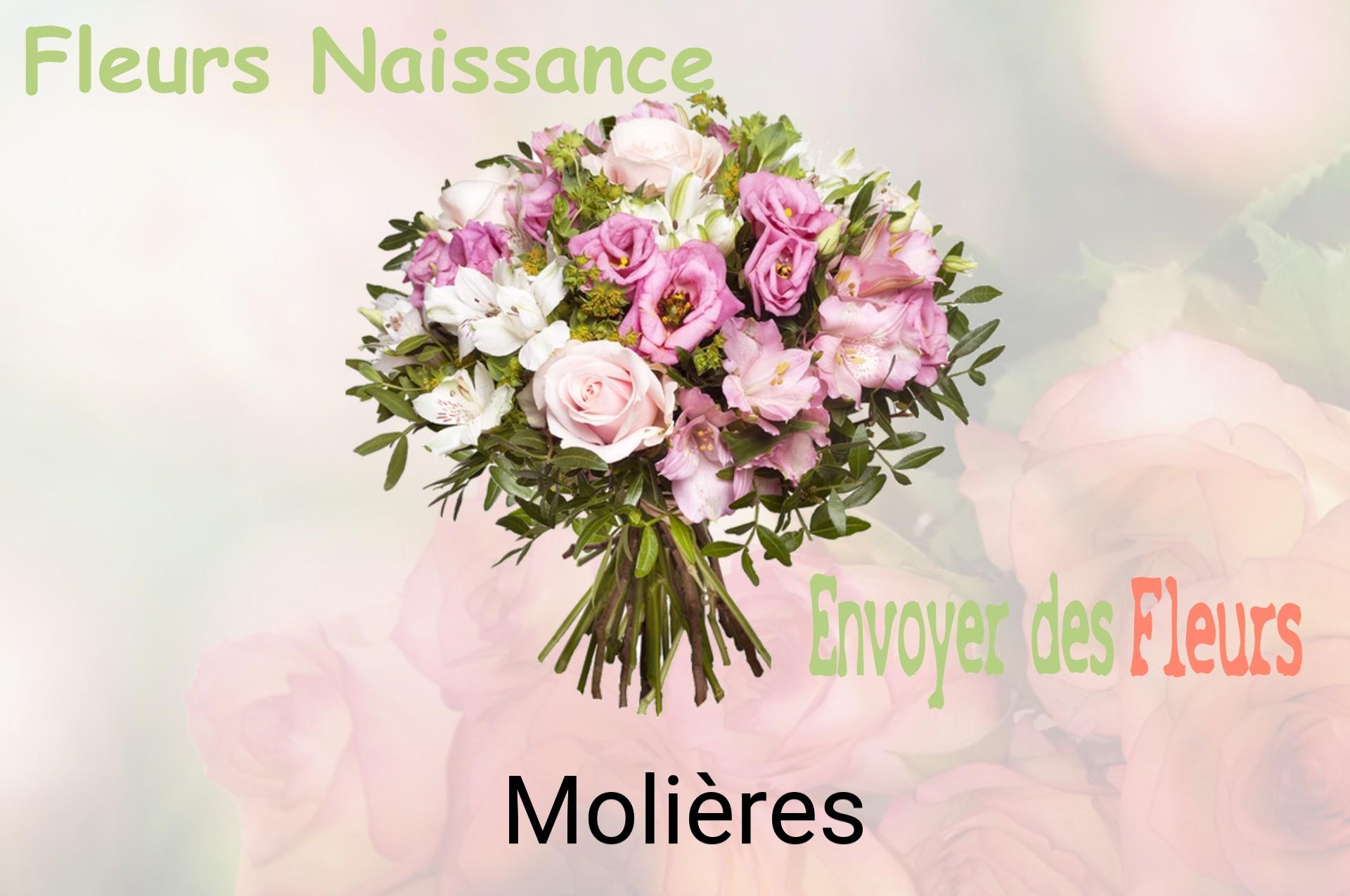 Bouquet de fleurs de naissance livré à Molières