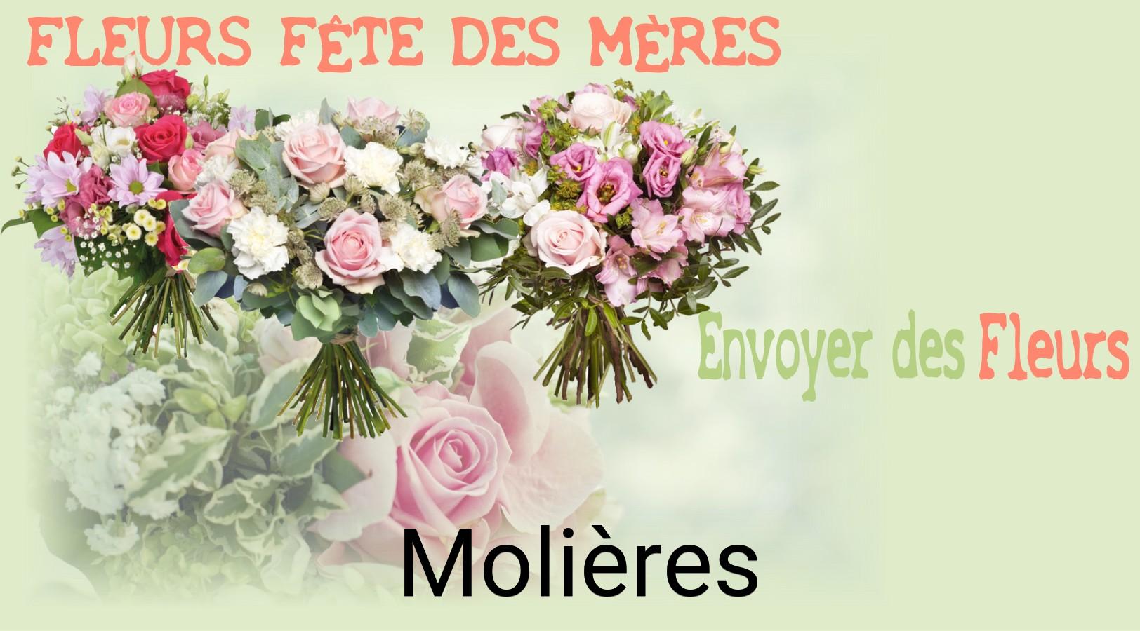Bouquet de Fête des Mères livré à Molières